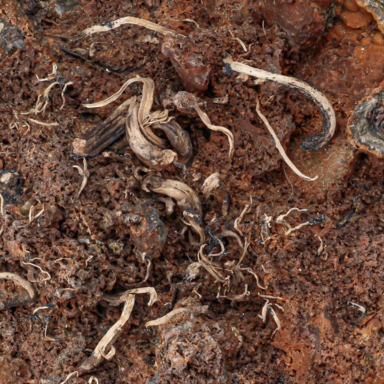 Silver-Jachymov | Krušné Hory | Karlovy Vary Region |  Czech Republic